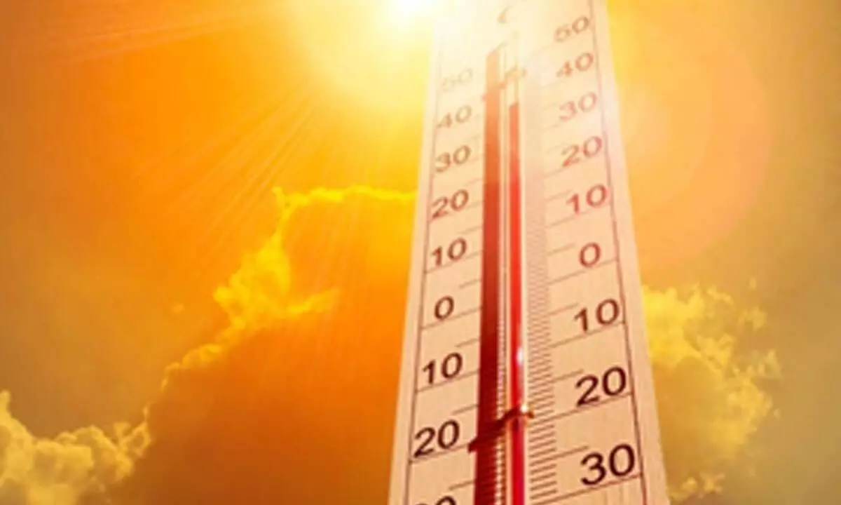 Heat wave grips Telangana, mercury crosses 46 degrees Celsius in few places