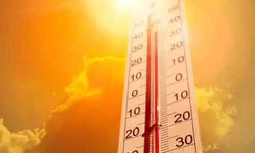Heat wave grips Telangana, mercury crosses 46 degrees Celsius in few places