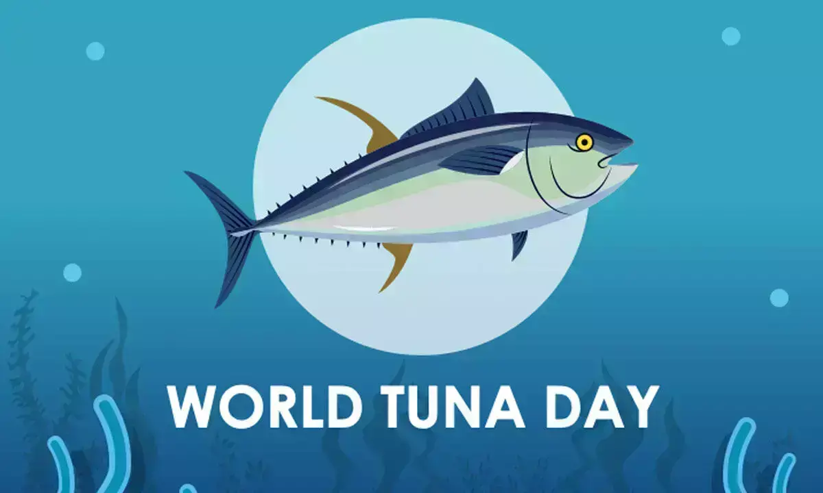 World Tuna Day 2024: Understanding the Theme, History, Significance, Facts, and Quotes