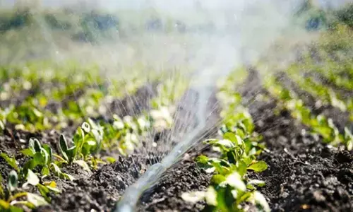 Anantapur farmers angry over empty vows, want change