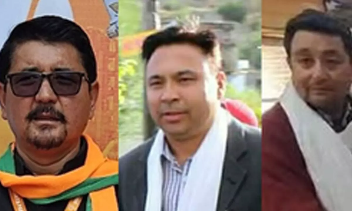 Cracks in the armour: Cong faces serious challenge from NC rebel candidate in Ladakh constituency