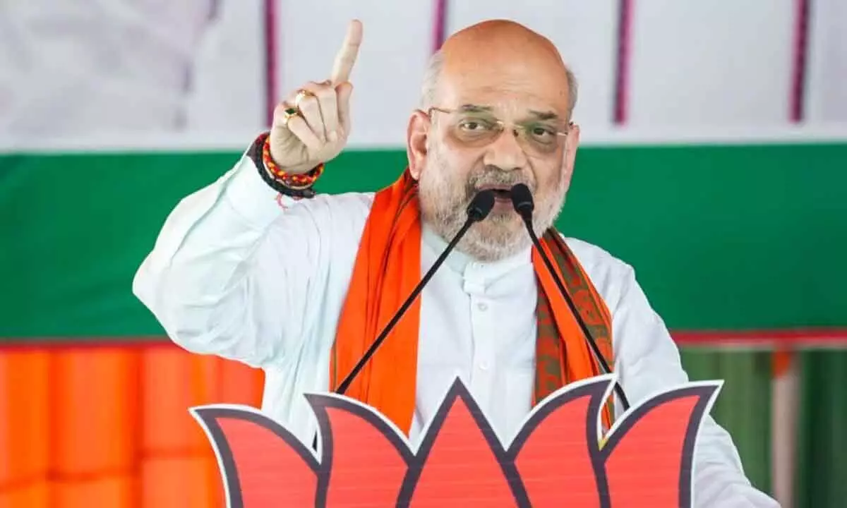BJP Leading in First Two Phases of Lok Sabha Polls: Amit Shah in Andhra Pradesh