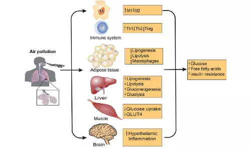 Air pollution link to new diabetes cases
