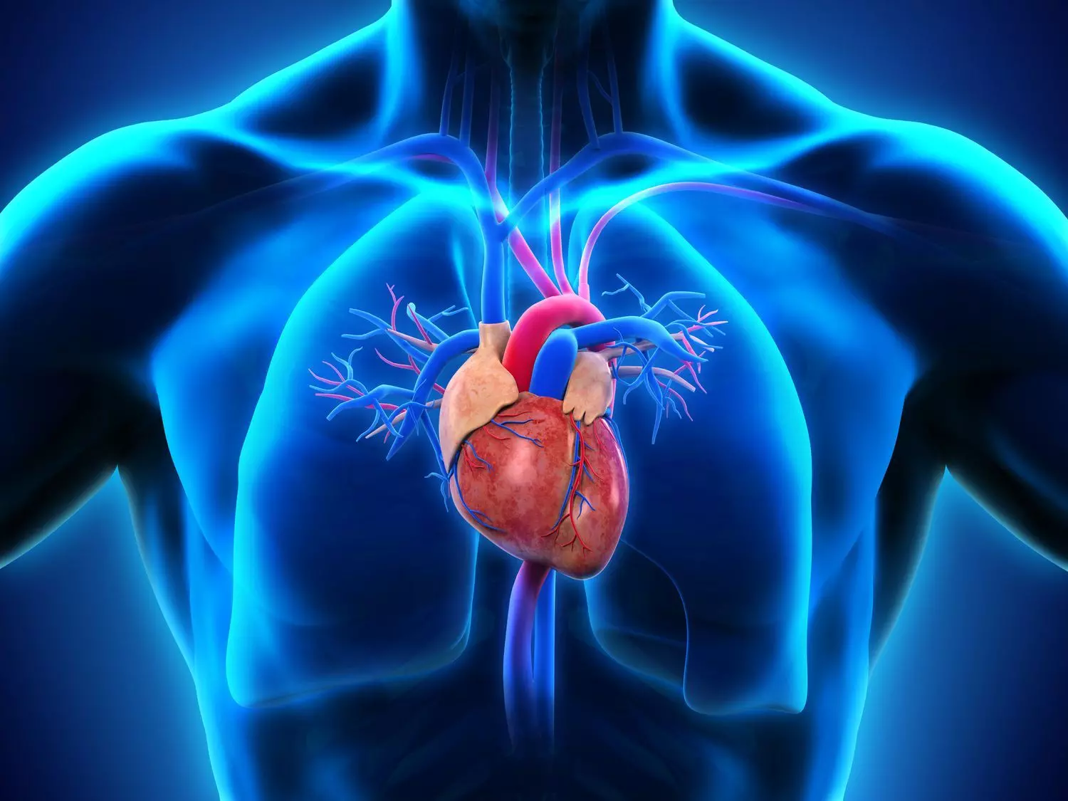 Essential heart health tips to safeguard your cardiovascular well-being