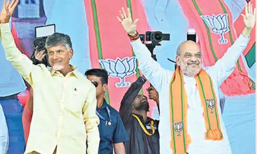 Shah, Naidu discuss campaign strategy