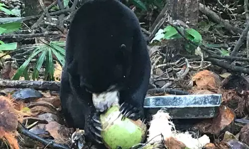 Representation Image