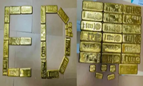ED recovers over 19 kg gold from bank locker of cyber thug