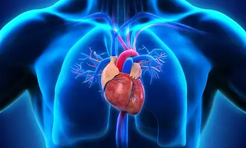 Essential heart health tips to safeguard your cardiovascular well-being
