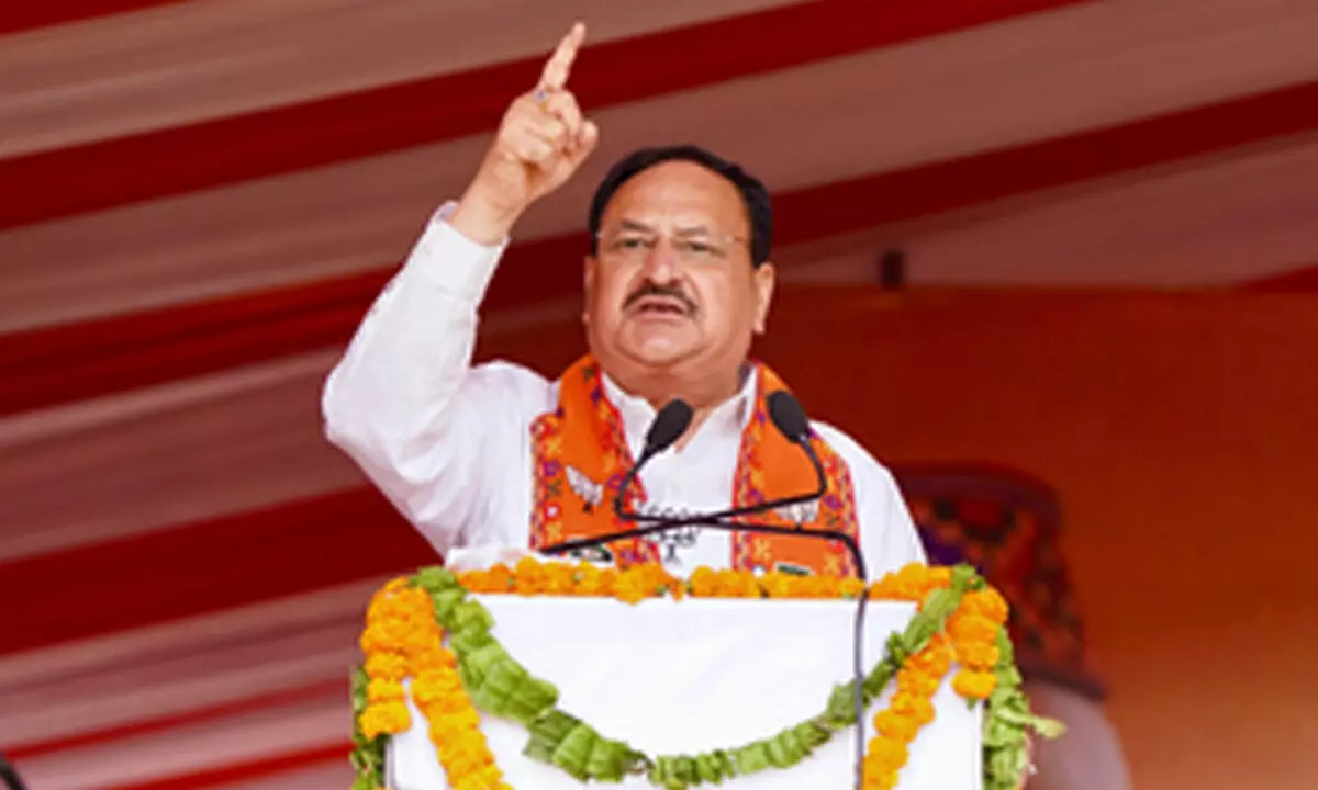Congress can only sow seeds of hatred in society, says BJP chief Nadda