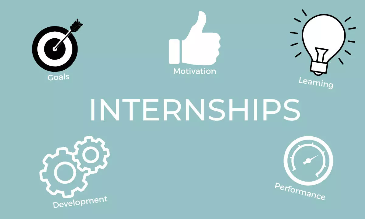 Navigating careers: The role of internships