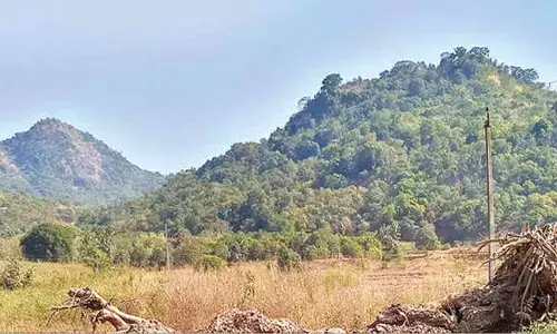 Srikakulam: Parties vie to transport voters to remote areas