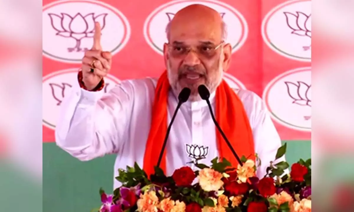 Amit Shah questions Gandhis absence from Raebareli in five years