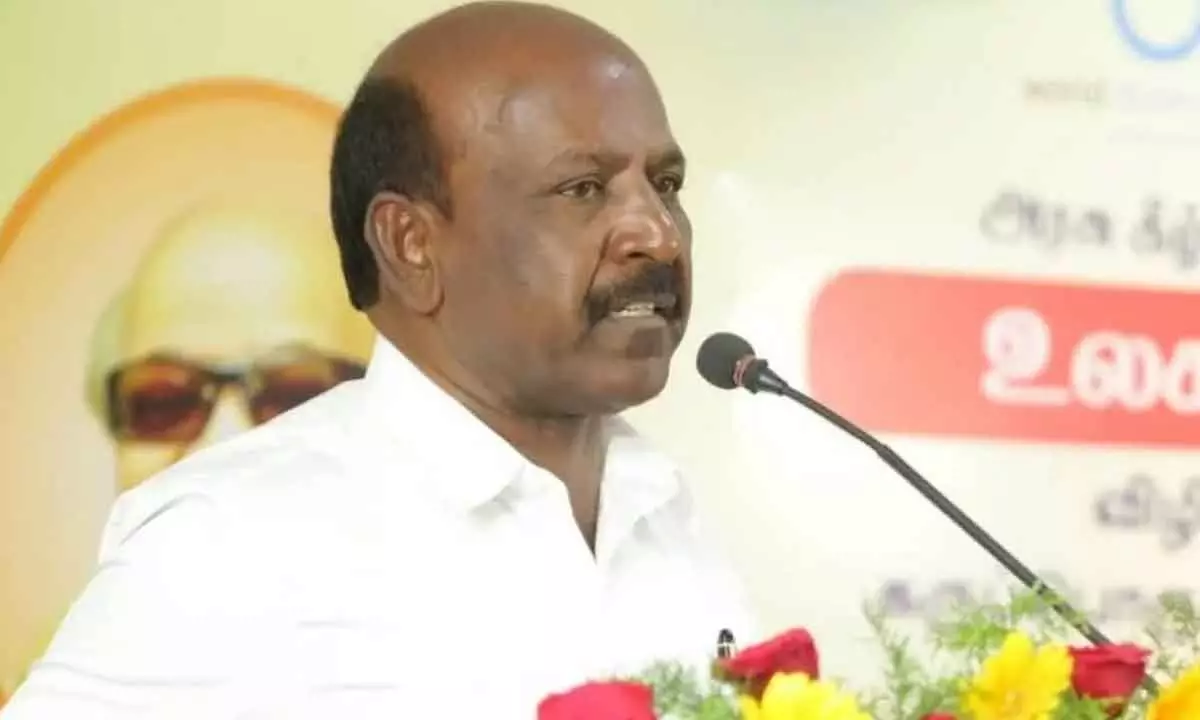 Tamil Nadu govt to honour 19 nurses for selfless services: TN health minister