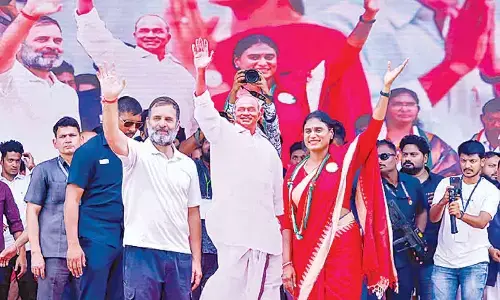 Send my sister Sharmila to LS, Rahul to Kadapa people