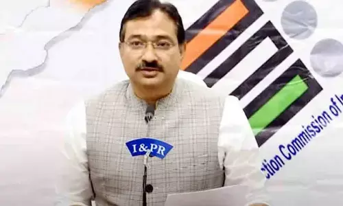 Unauthorised use of indelible ink for marking voters fingers will result in strict action: AP CEO