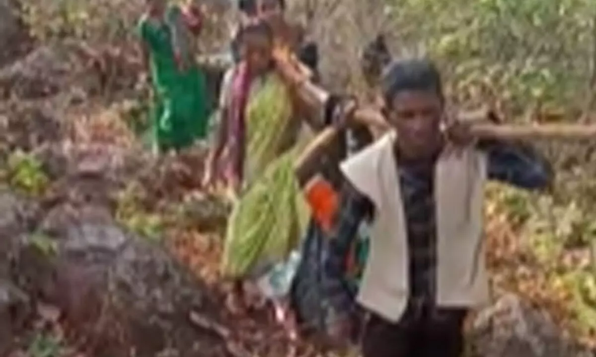 Woman carried in doli to cast vote in remote tribal village, showcasing spirit of democracy