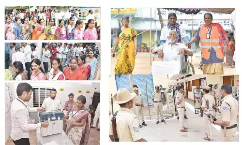 Adding zing to carnival of democracy