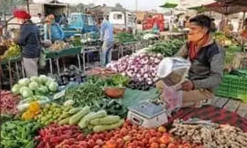 Wholesale Price Index inflation remains benign: Industry