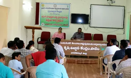 Understanding of High Density Cotton Cultivation