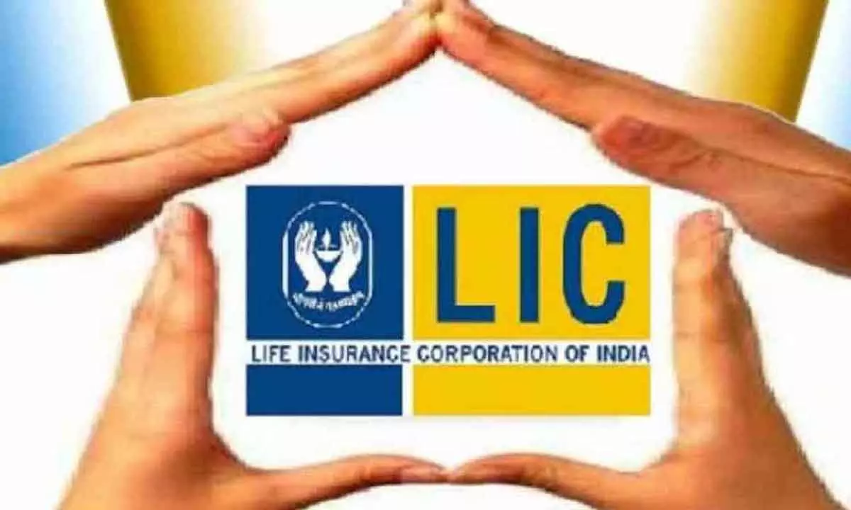 3-yr timeline for LIC for 10% public-holding rule