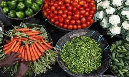 WPI inflation rises to 1.26% on spike in food prices