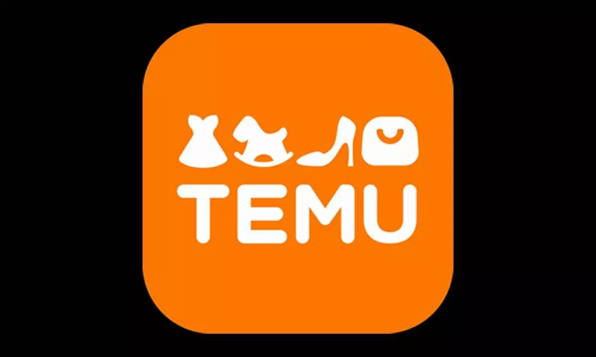 Chinese marketplace Temu under scanner for breaching EUs Digital Services Act