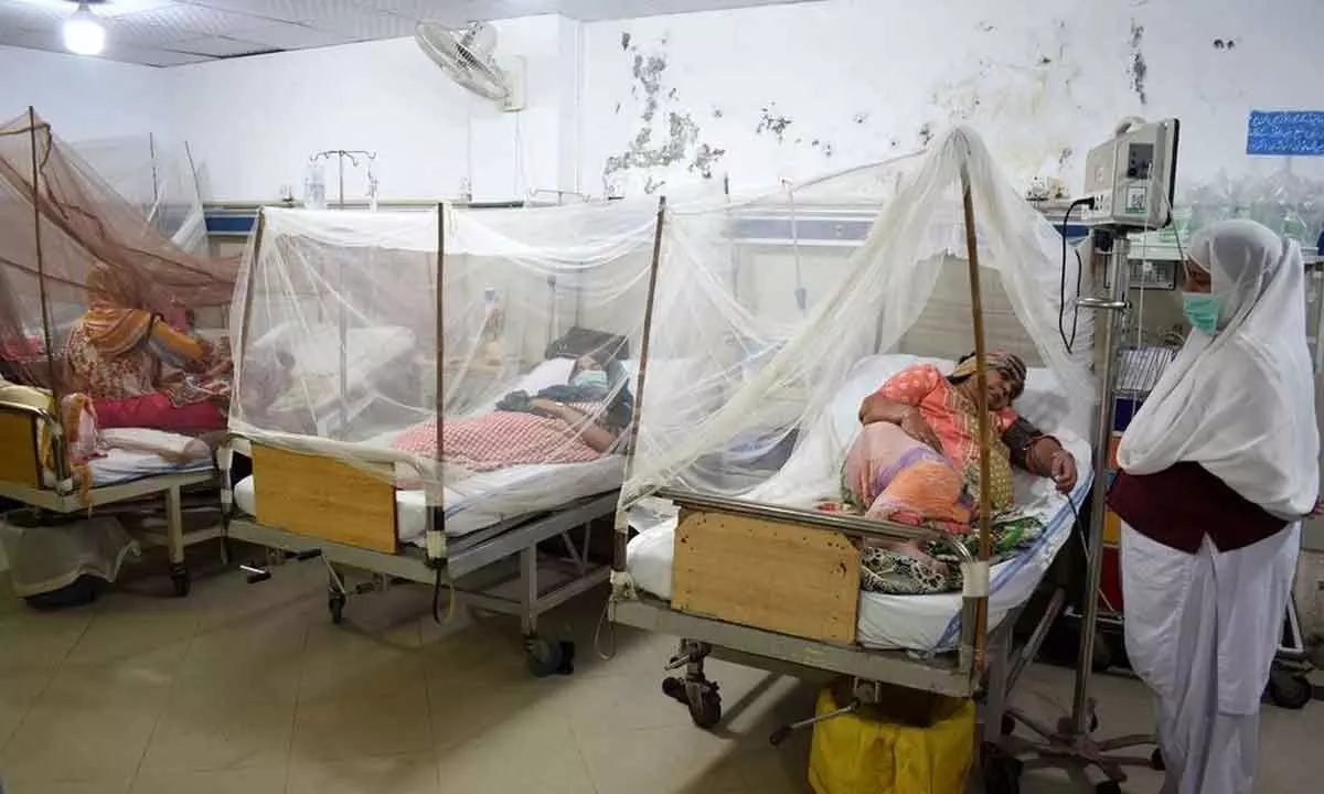 The rising burden of dengue in India