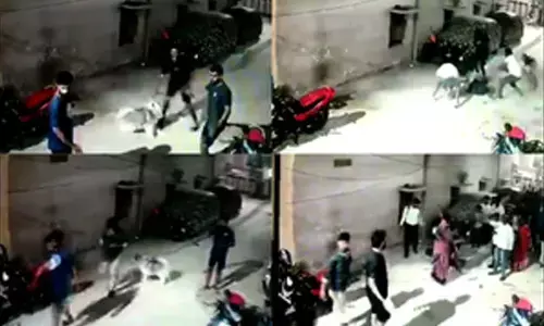 Five held for attempt to murder for assaulting neighbour, pet dog in Hyderabad