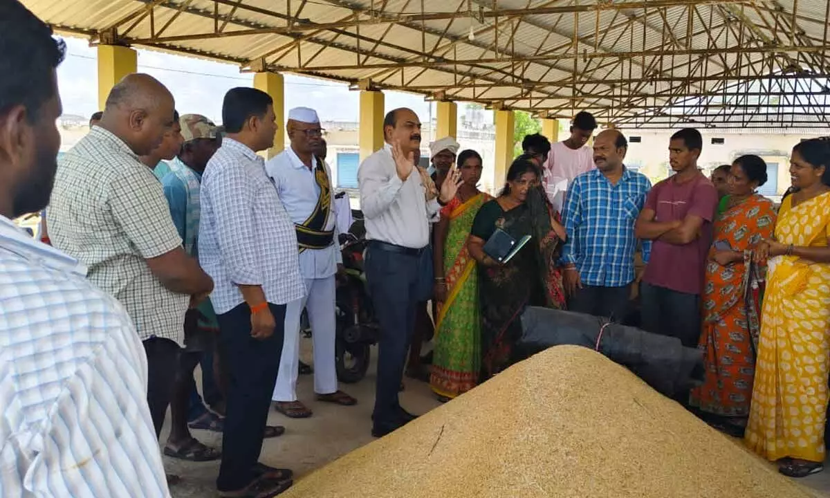 Grain procurement should be expedited - Additional Collector K Sitarama Rao