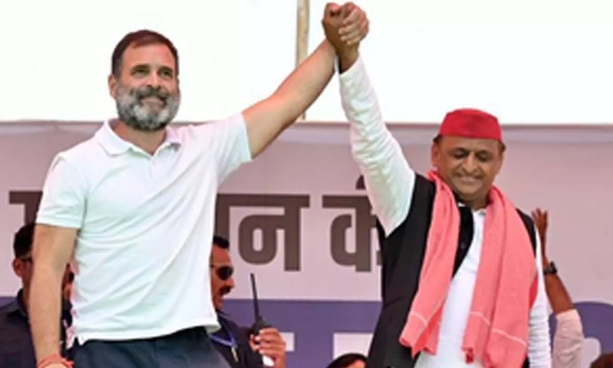 ‘UP Ke Ladke’: Debate rages over Rahul and Akhileshs primary focus on own seats