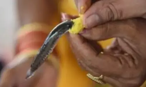 Fish Prasadam to be distributed from June 8 at Exhibition Grounds in Hyderabad