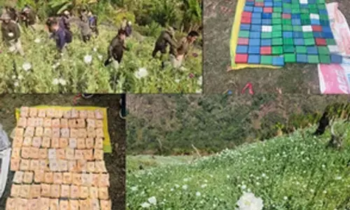 Drugs valued at Rs 7,887.76 cr seized; 2,943 held in 7 years in Manipur: Official