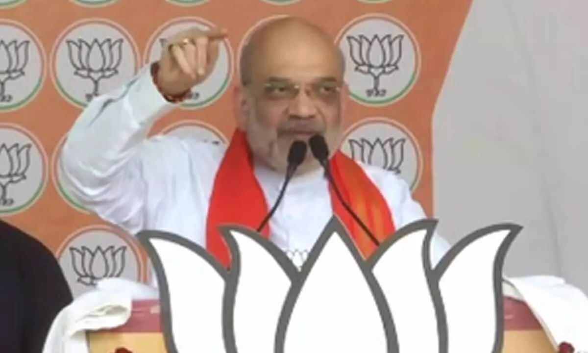 Vote for lotus if you want strong PM, says HM Amit Shah