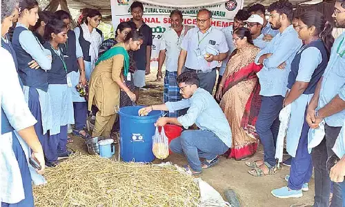 Rajamahendravaram: Decomposing paddy straw in waste decomposer demonstrated