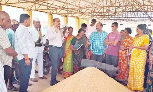 Expedite grain procurement says Additional Collector K Sitarama Rao
