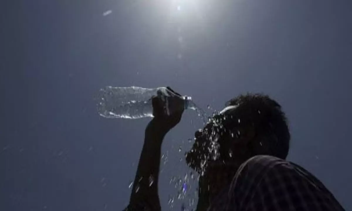 Delhi’s outdoor workers, low-income households bear brunt of deadly heat