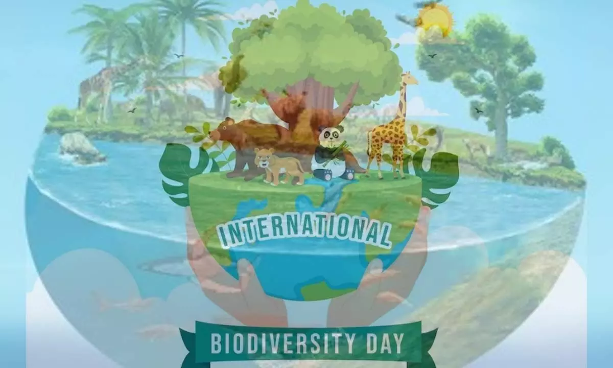 International Day for Biological Diversity 2024: Date, Theme, History, and Significance