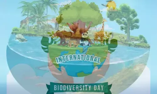 International Day for Biological Diversity 2024: Date, Theme, History, and Significance