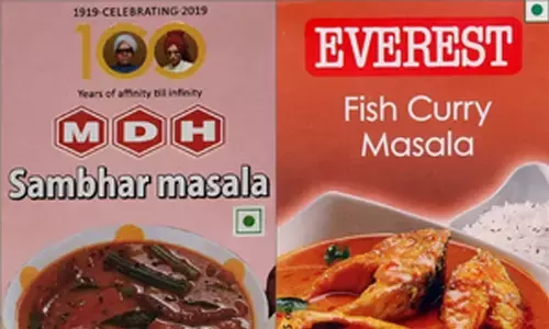 Food regulator finds no trace of ethylene oxide in Indian spices