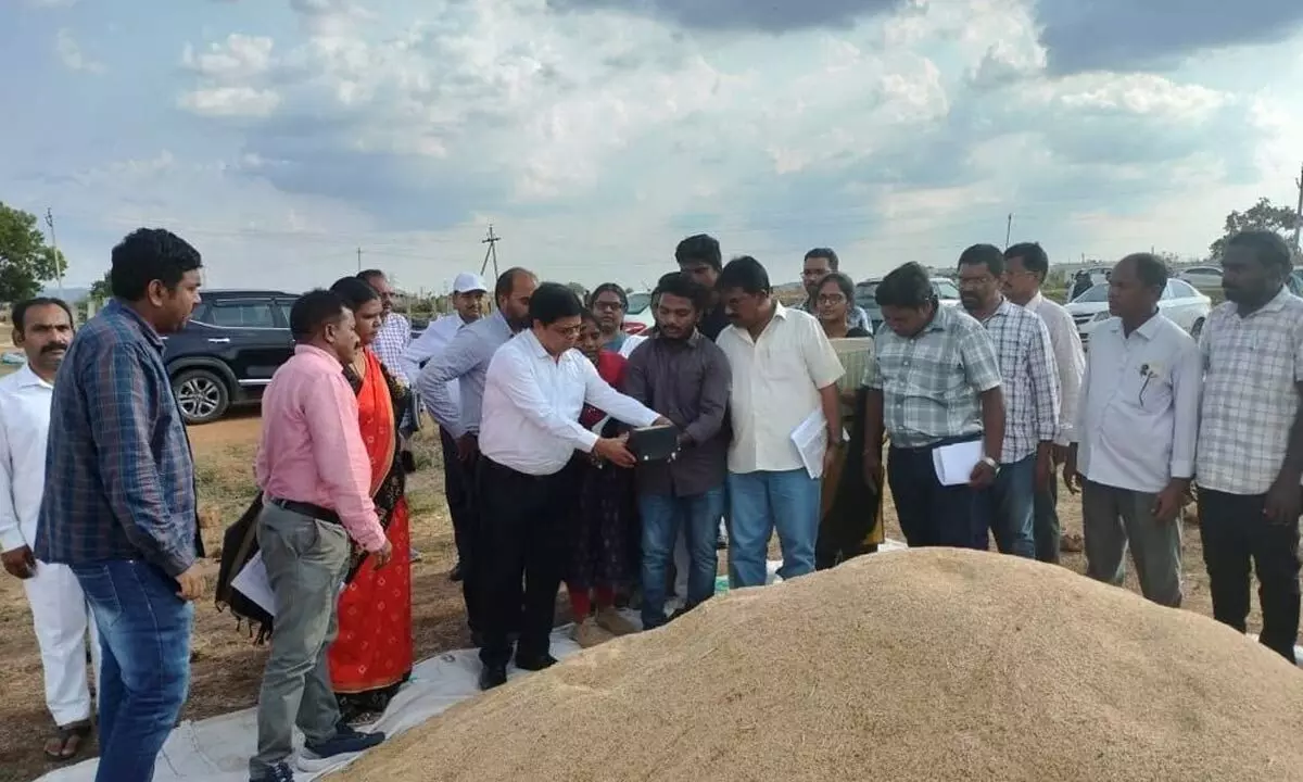 Khammam: Grain procurement process inspected