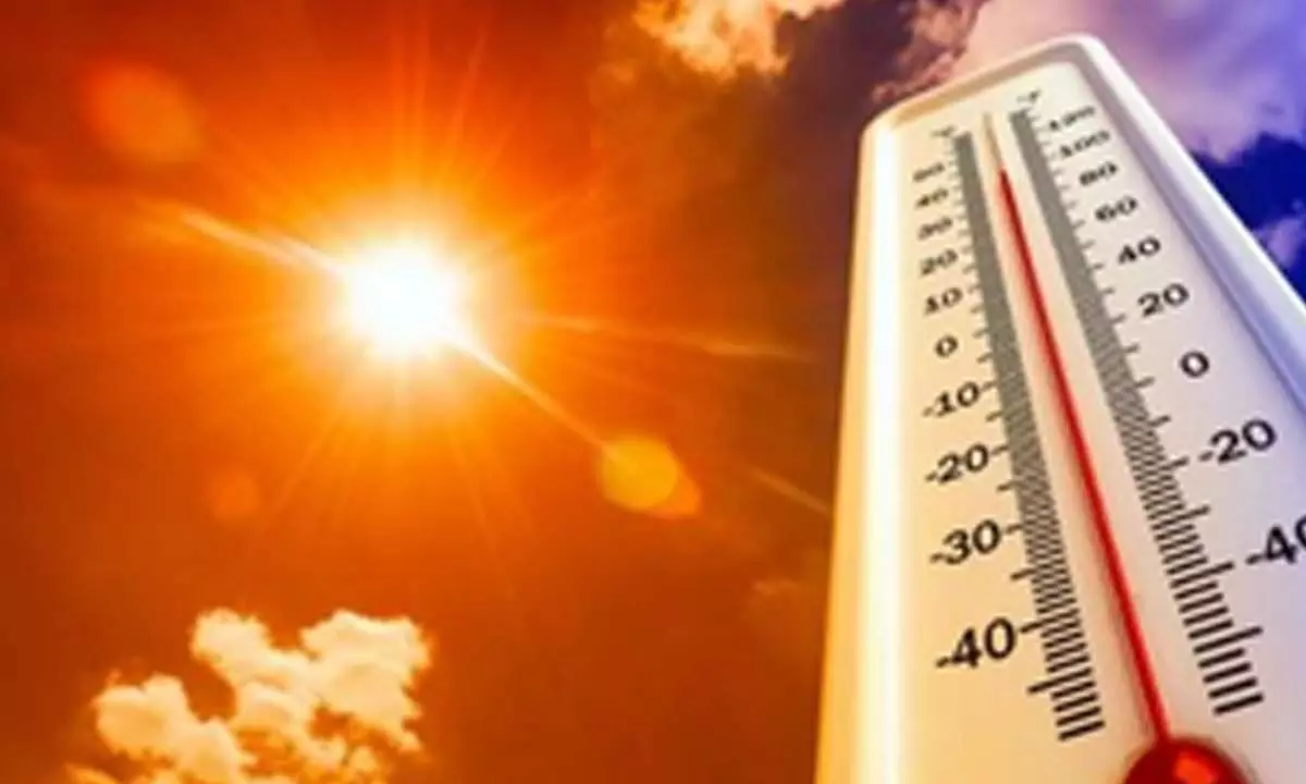Rajasthan sizzles: Met dept warns of mercury shooting up to 48 degree celsius in next 72 hours