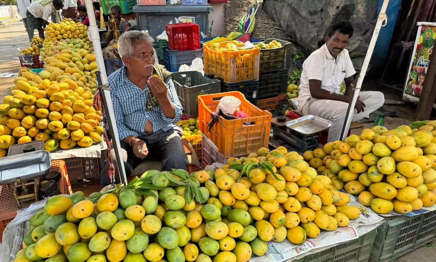 Mango farmers being cheated by the name of tie bazaar