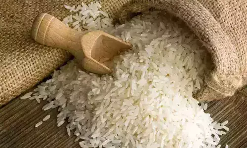 Telangana govt pitches for cultivation of fine rice