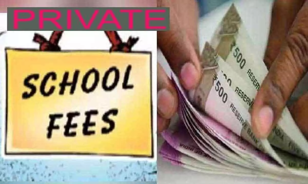 Students caught in a cleft stick over school fee hike