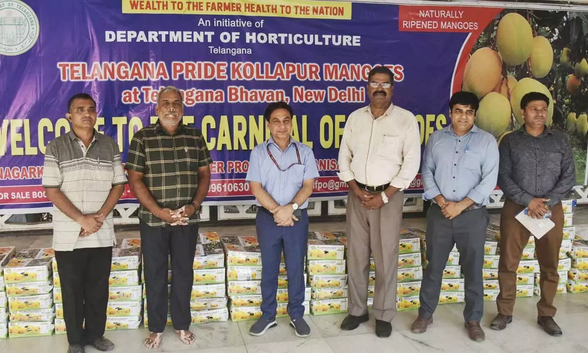 Kollapur mangoes are well recognized in Delhi - Farmer Producer Organization
