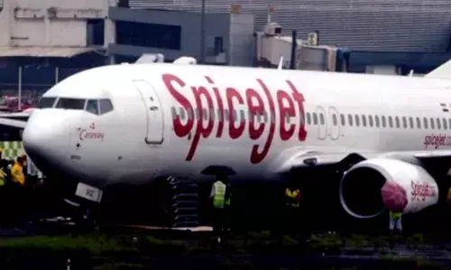 SpiceJet flight to Leh returns to Delhi after engine hit by bird