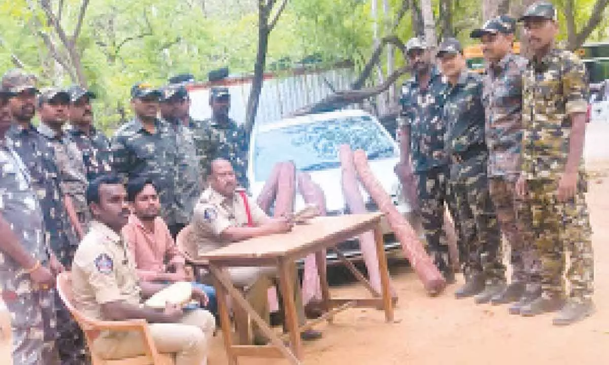 Task Force team with seized red sanders logs and the vehicle in Tirupati on Sunday