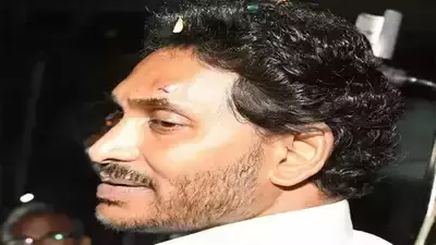 Verdict Reserved in Bail Petition of Accused in Stone Attack on CM Jagan
