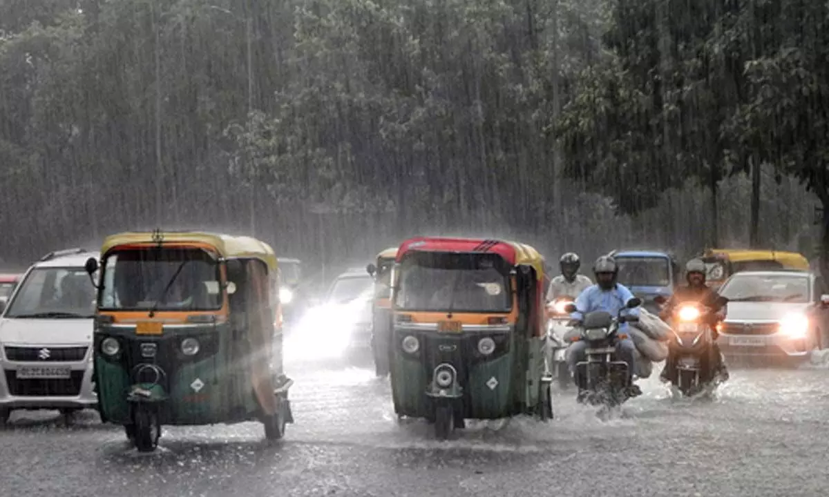 IMD confirms above-average monsoon rains for this year