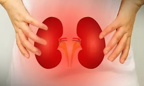 Researchers detect novel biomarkers for kidney diseases using new technique